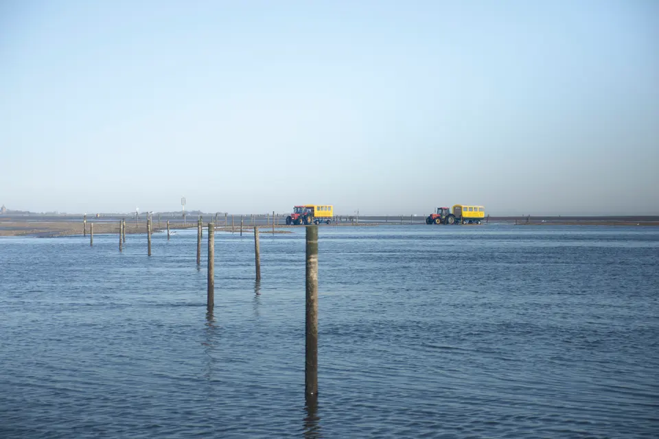 Tidal poles